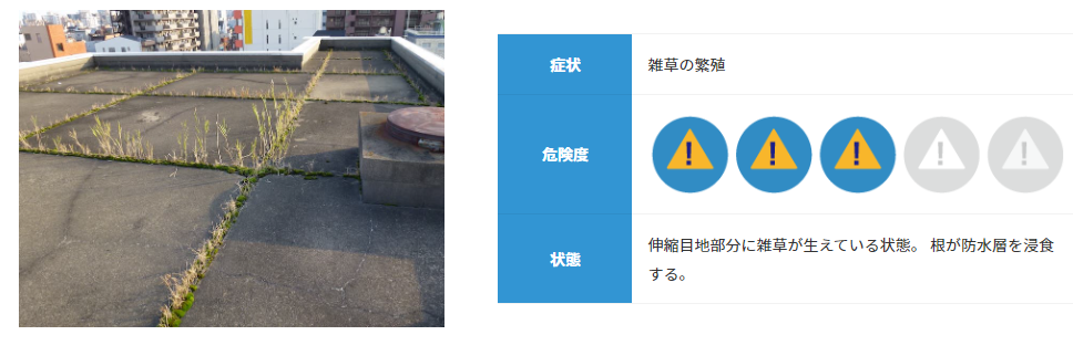 雑草の繁殖による漏水