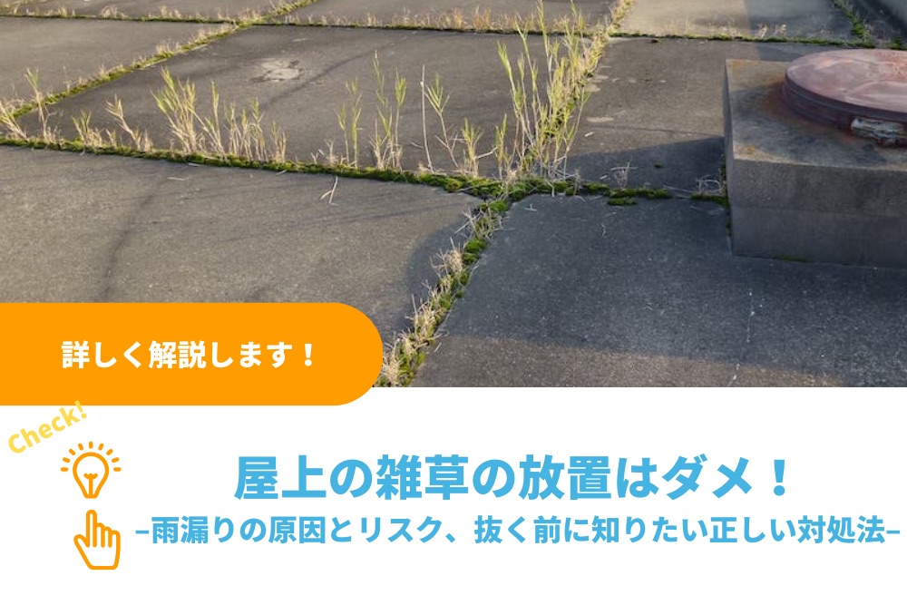 屋上の雑草の放置はダメ！雨漏りの原因とリスク、自分で抜く前に知りたい正しい対処法も解説