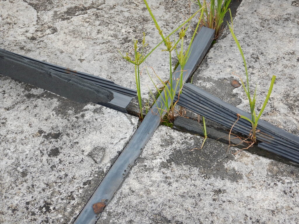 メンテナンスすべき屋上防水の劣化サイン