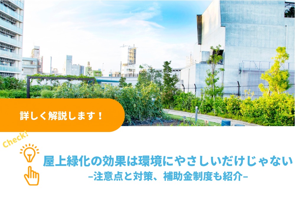 屋上緑化の効果は環境にやさしいだけじゃない!注意点と対策、補助金制度も紹介