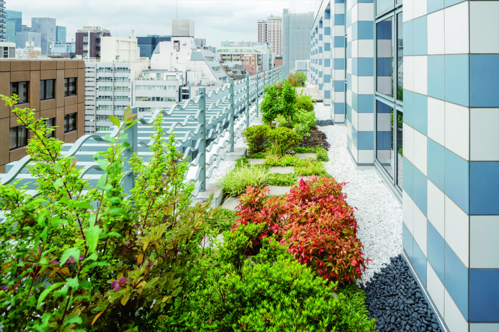 屋上緑化とは